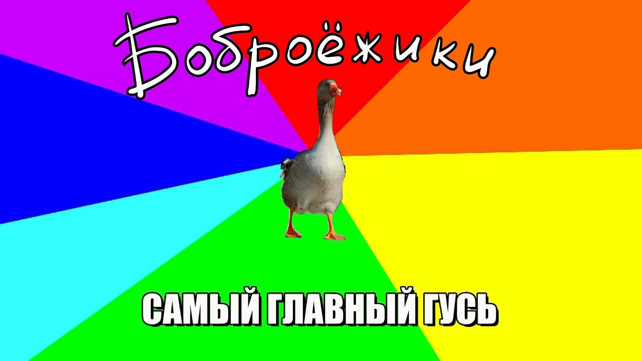 Боброежики - Самый главный гусь!